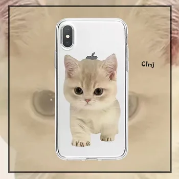 Clmj IN Cute Kačių Telefono dėklas Skirtas iPhone 13 Mini Pro 11 12 14 Plius XR X XS Max 